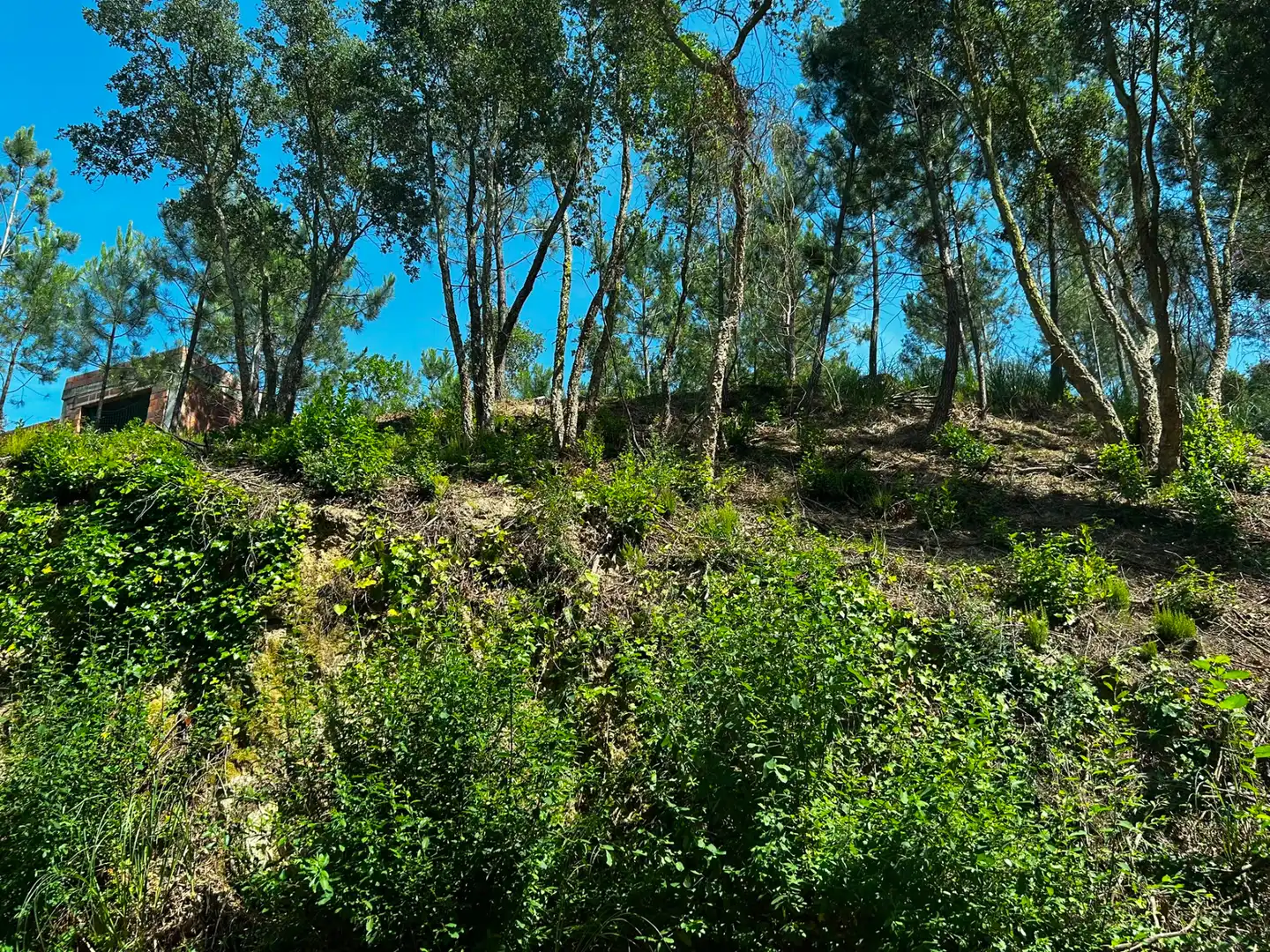 Terreno residencial en venta en Lloret Blau - La Creu de Lloret, imagen 8