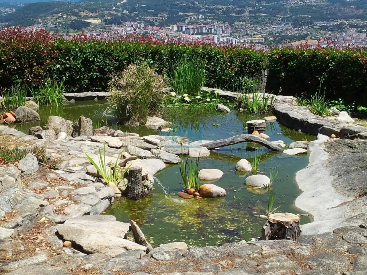 Jardín de Residencial en venta en Piñor