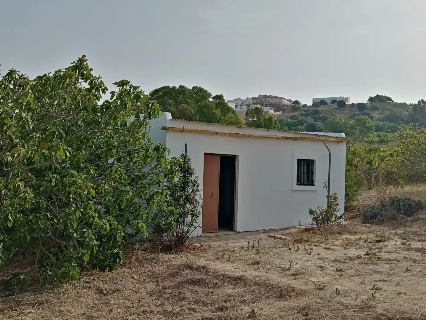 Terreny rústic en venda a Medina Sidonia