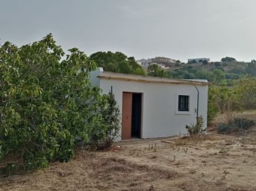 Rural land for sale in Medina Sidonia
