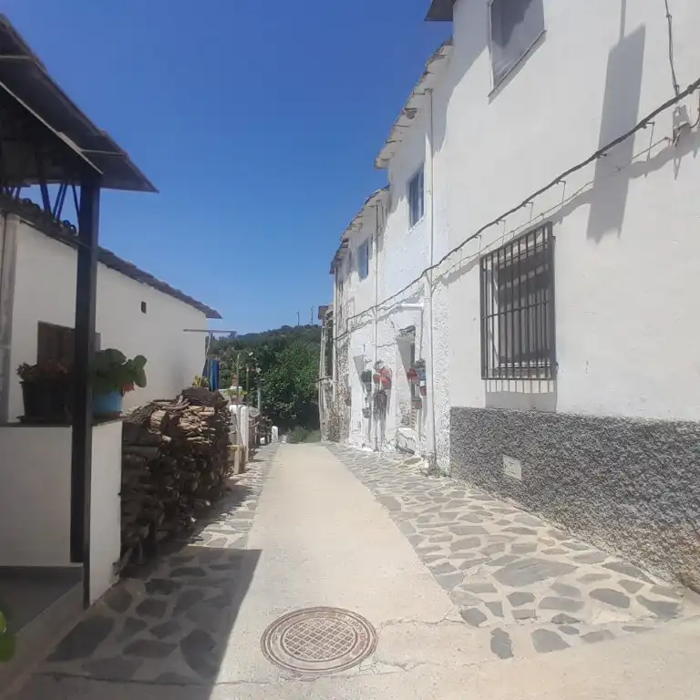 Vista exterior de Casa o chalet en venta en Nevada con Terraza y Amueblado