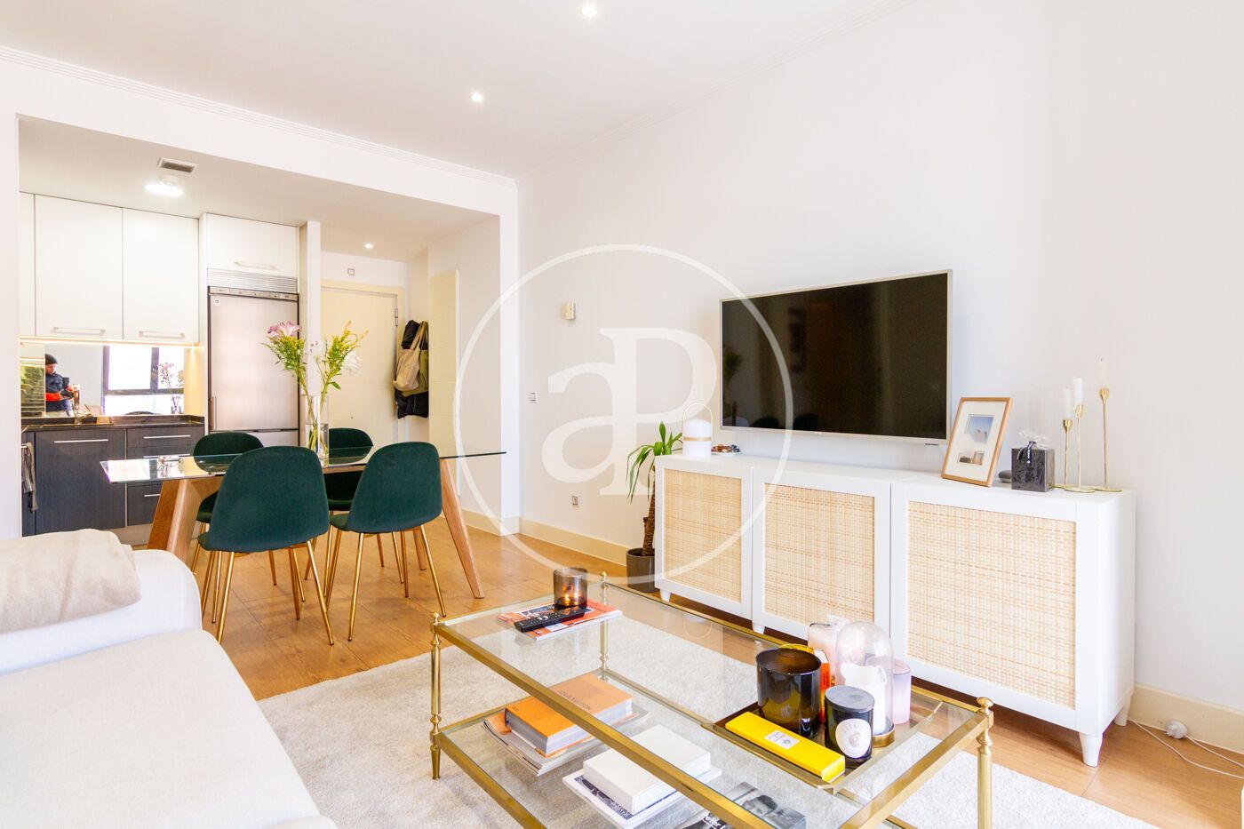 Living room of Flat to rent in  Madrid Capital  with Air Conditioner, Heating and Furnished