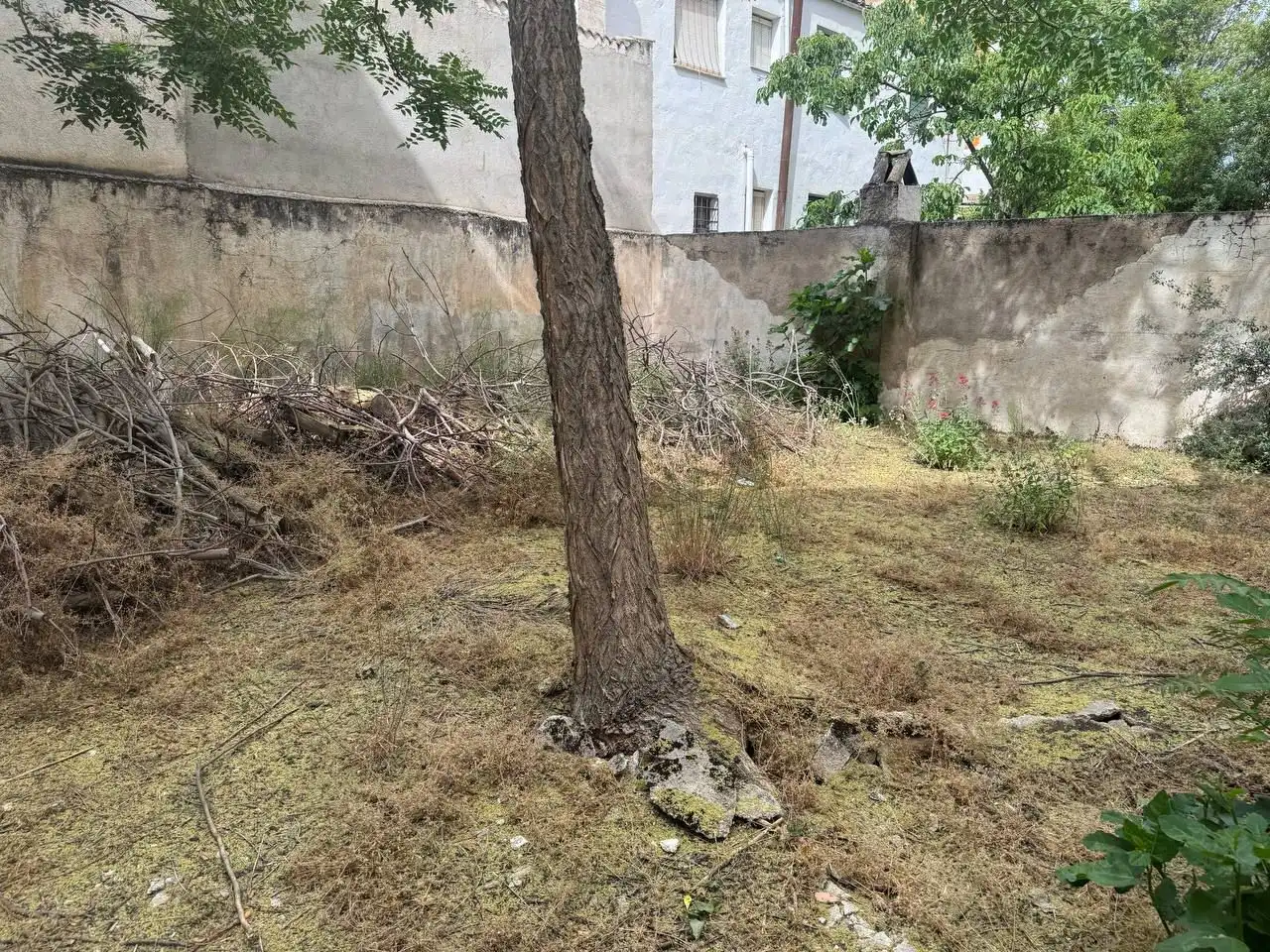 Commercial properties for sale in Huelma