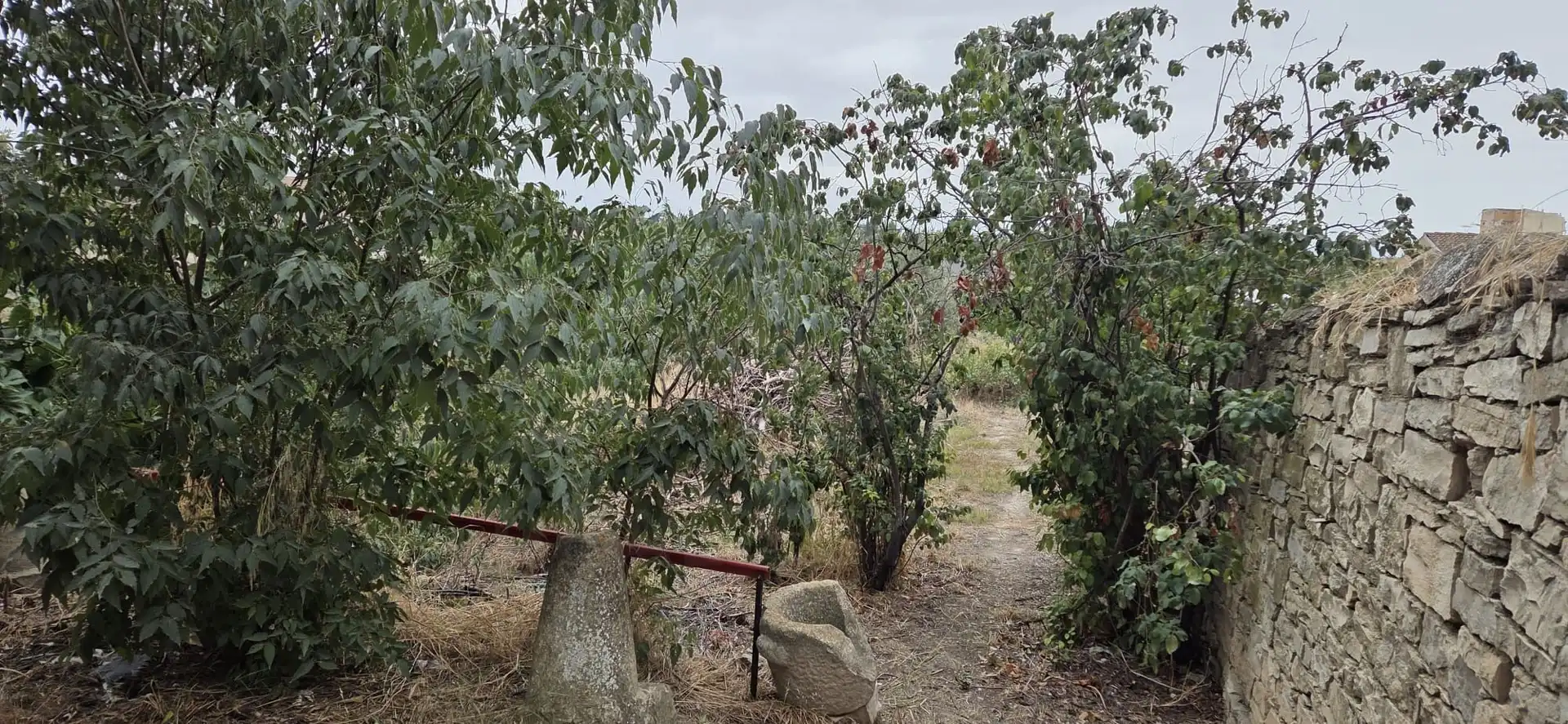 Residential land for sale in Tàrrega, imagen 9