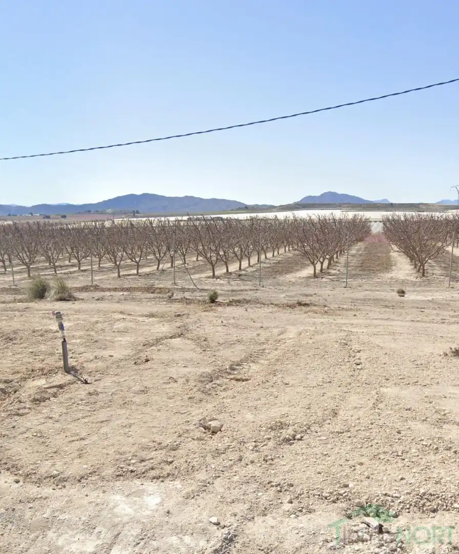 Finca rústica en venda en Cartagena amb Traster