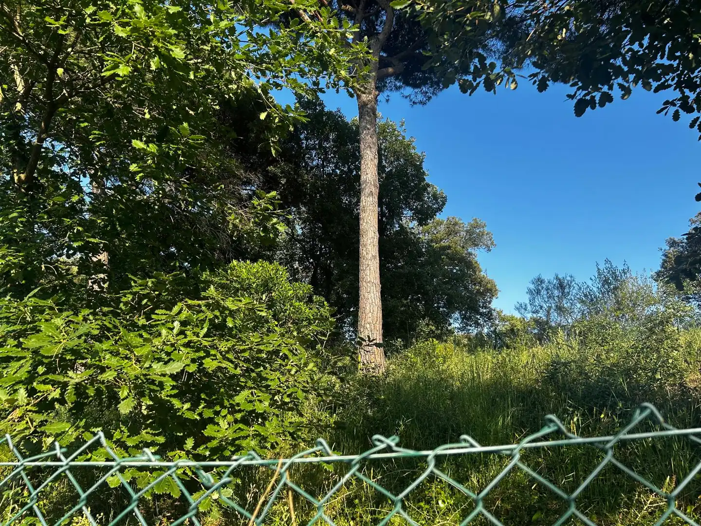 Residential land for sale in Residencial Park, imagen 26