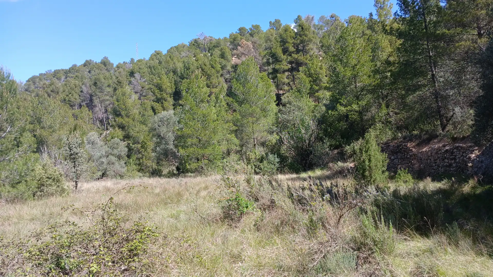 Terreno en venta en Fórnoles