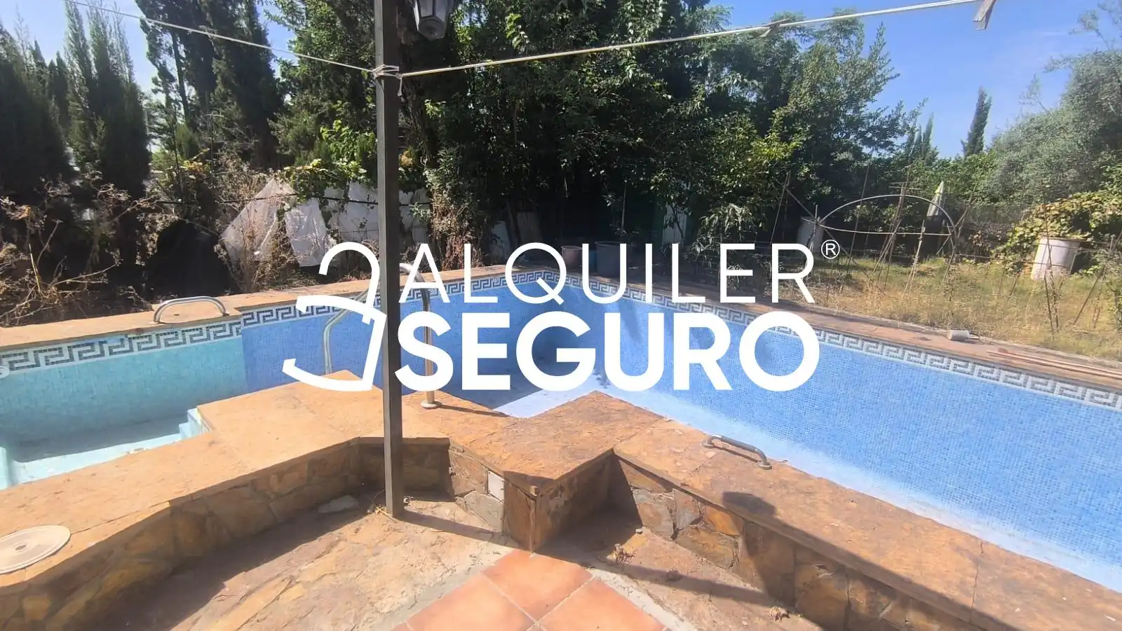 Piscina de Casa o chalet de alquiler en Almensilla con Trastero, Piscina y Amueblado