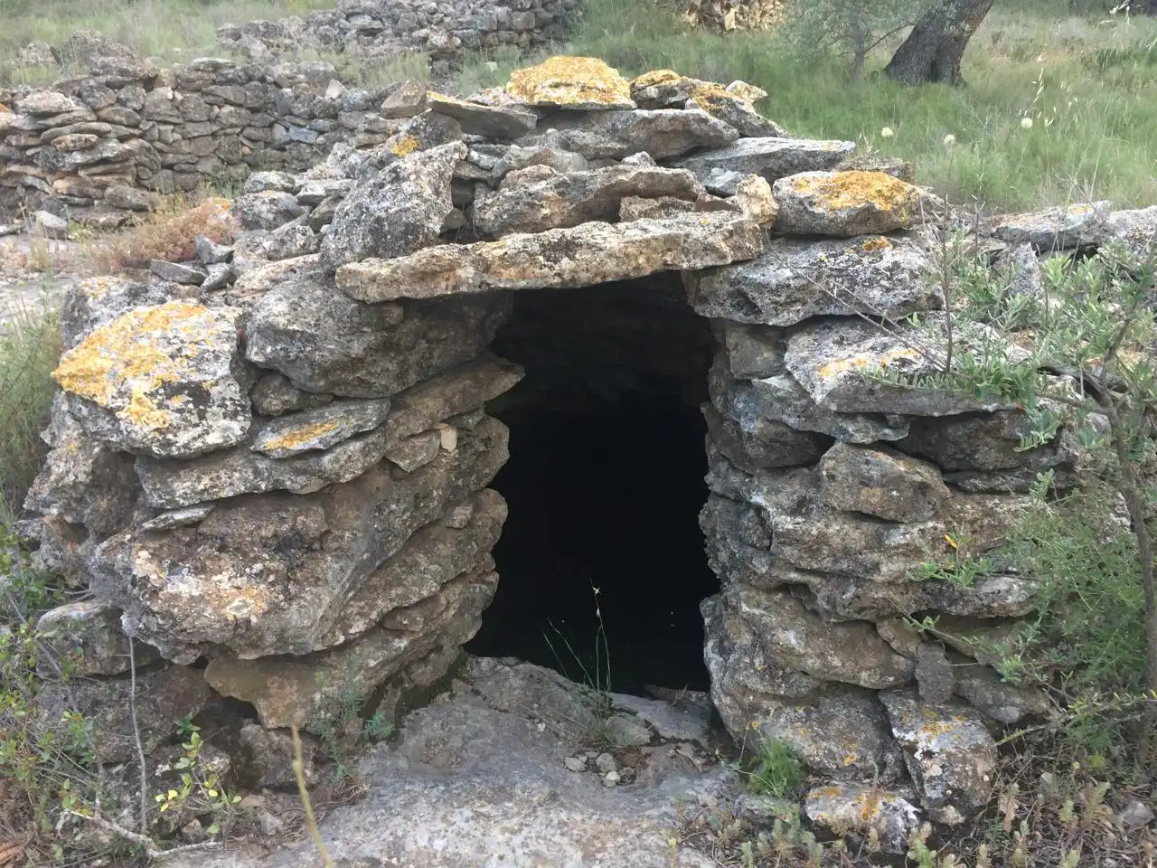 Terrain rustique à vendre à Les Planes, imagen 11