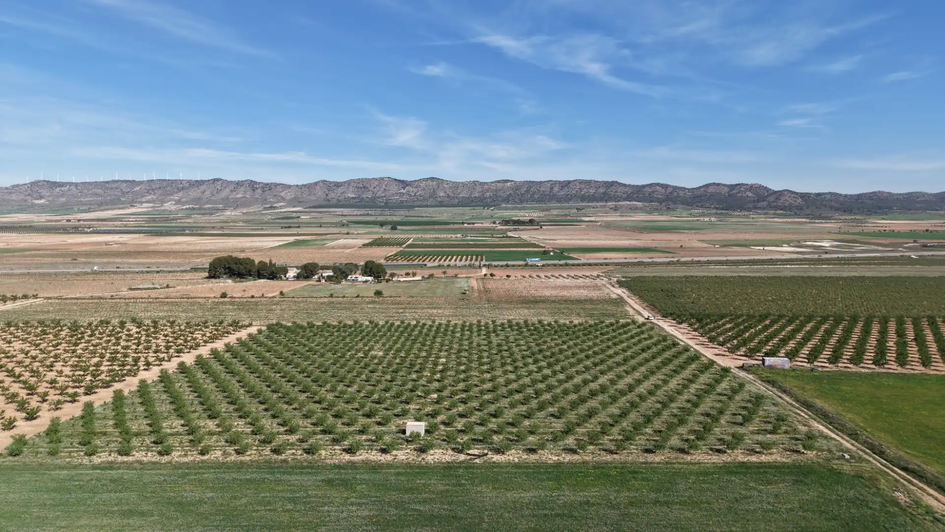 Residential land for sale in Yecla, imagen 10
