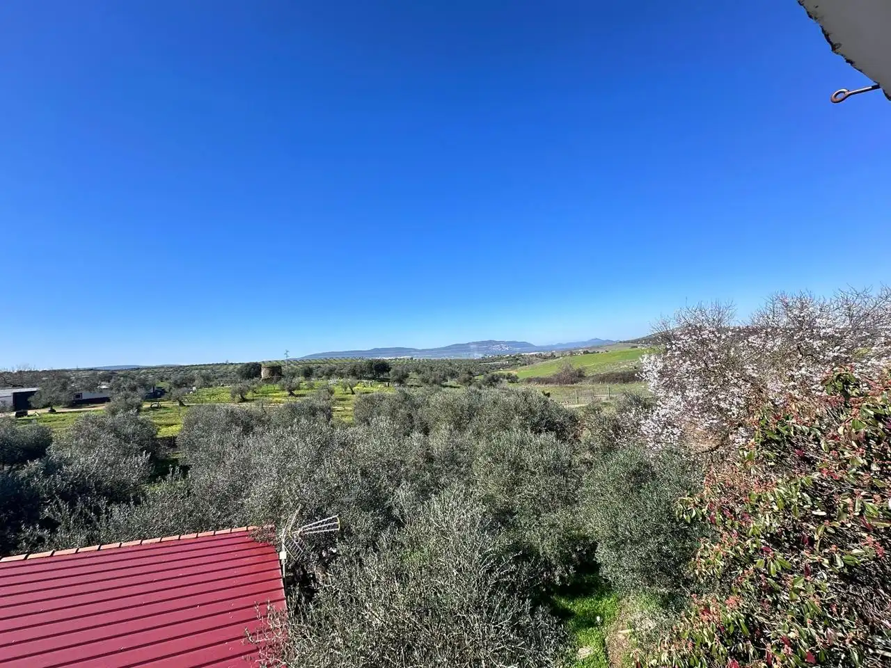 Casa o chalet en venta en Puebla de Sancho Pérez
