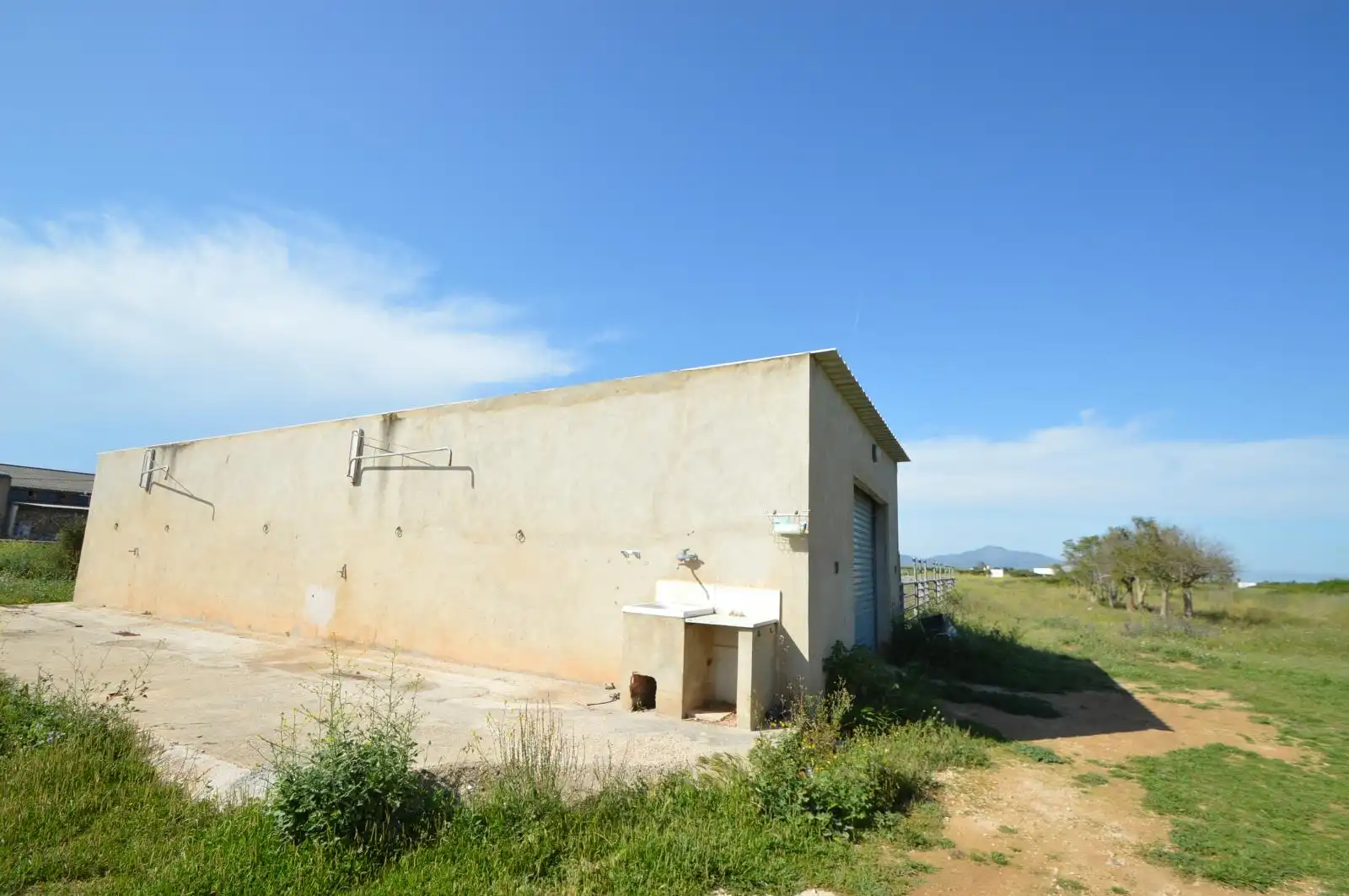 Terreno rustico in vendita a Partidas de interior - Zona Rústica, imagen 42
