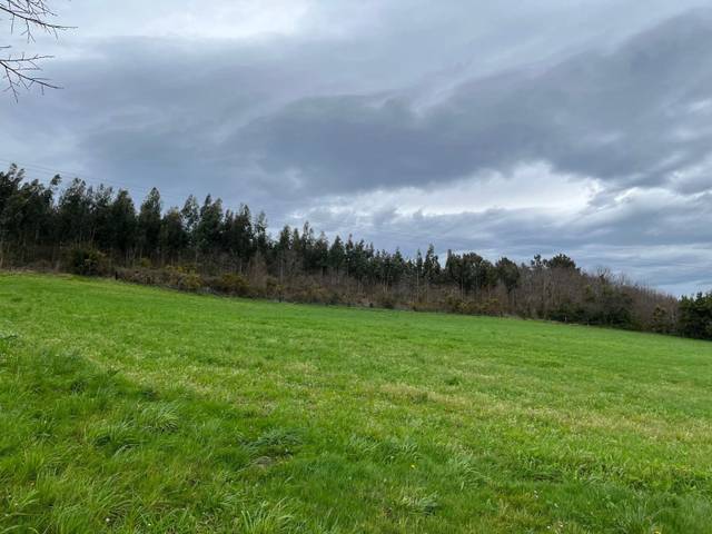 Terreno residencial en Venta en Coaña