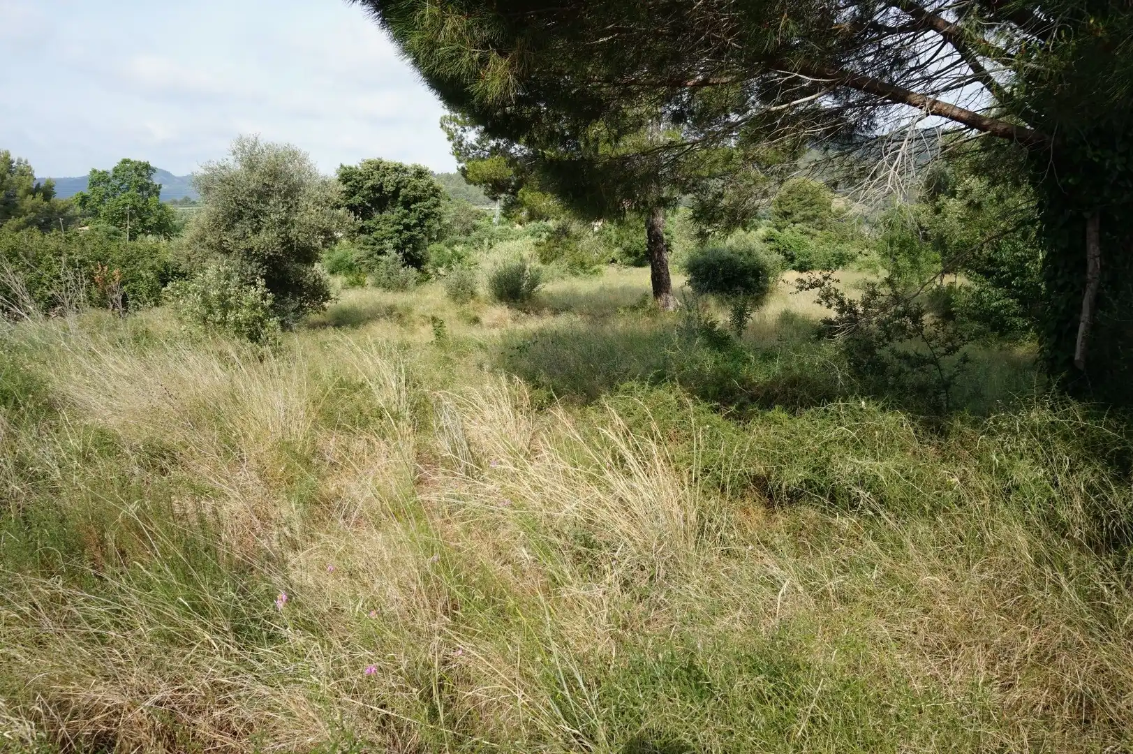 Maison rustique à vendre à Les Borges del Camp, imagen 16