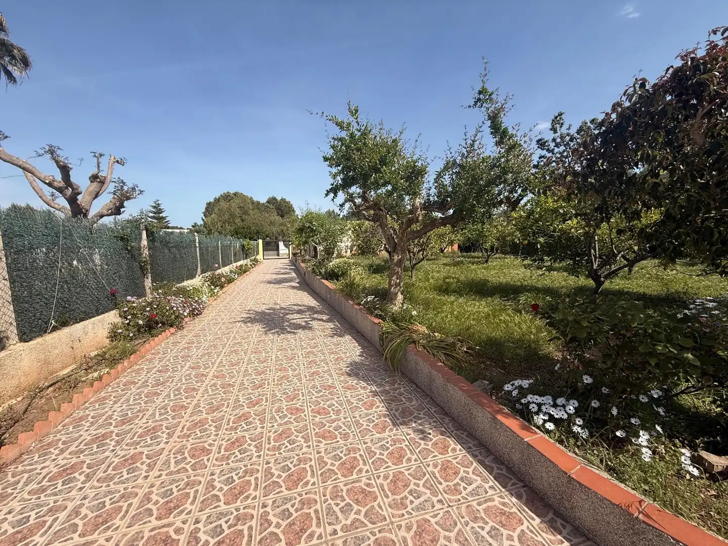 Detached house with pool for sale in Montserrat, imagen 5