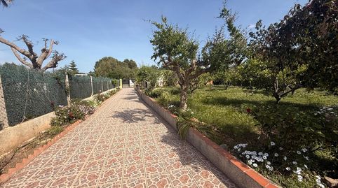 Foto 5 de Casa o xalet en venda a Montserrat, Valencia
