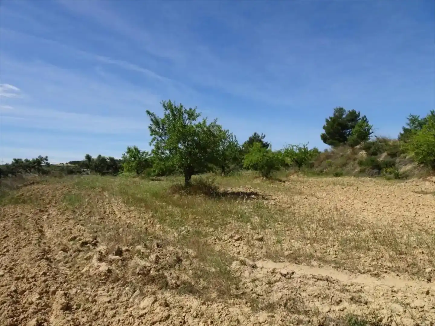 Land for sale in Batea