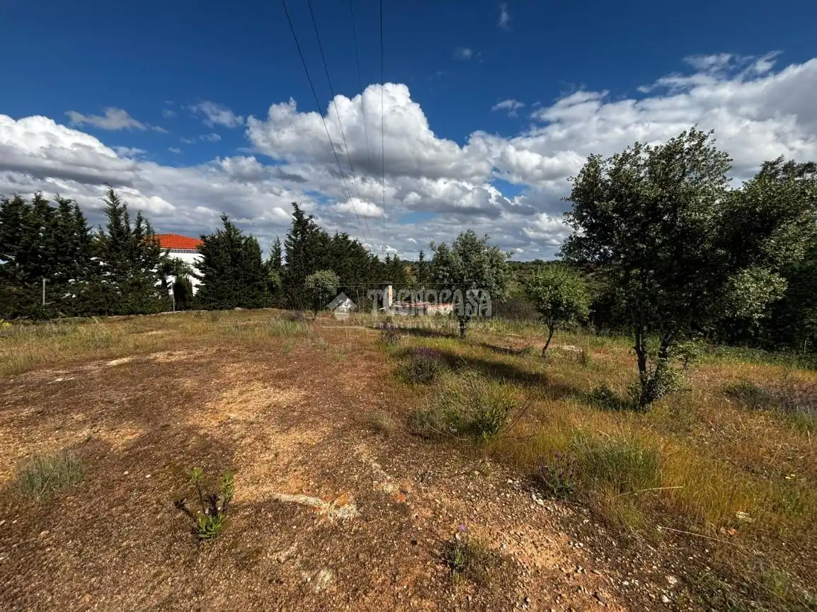 Finca rústica en venta en Carretera de Sevilla - Los Montitos