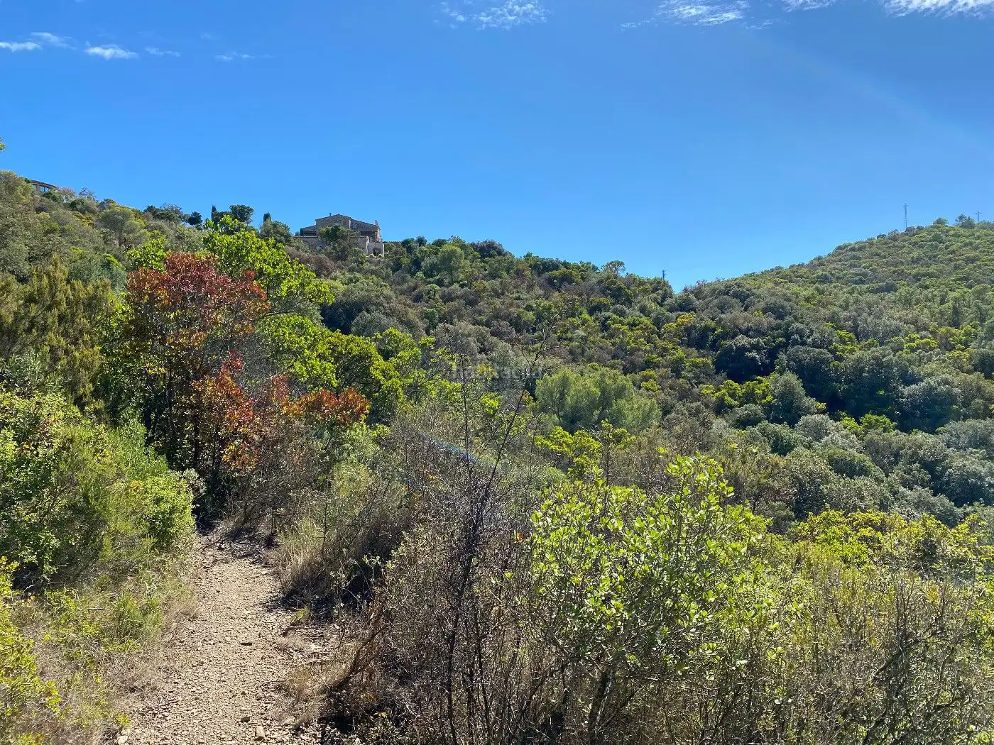 Terreno rustico in vendita a Carrer Puig Rodo 26, imagen 4