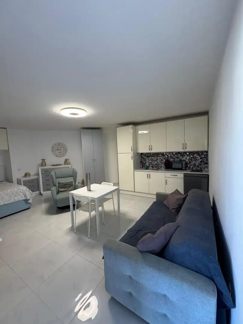 Study for sale in Adeje  with Terrace, Furnished and Community pool