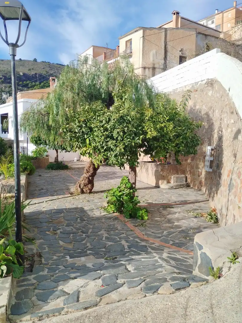 Casa rústica en venda a Calle de la Fuentecilla, imagen 65