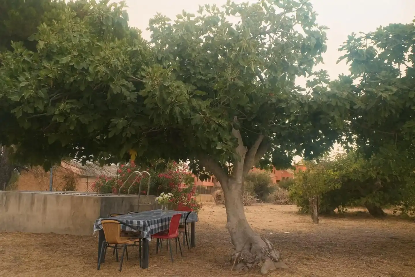 Jardín de Residencial en venta en Estepona
