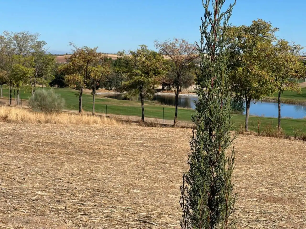 Residencial en venta en Layos