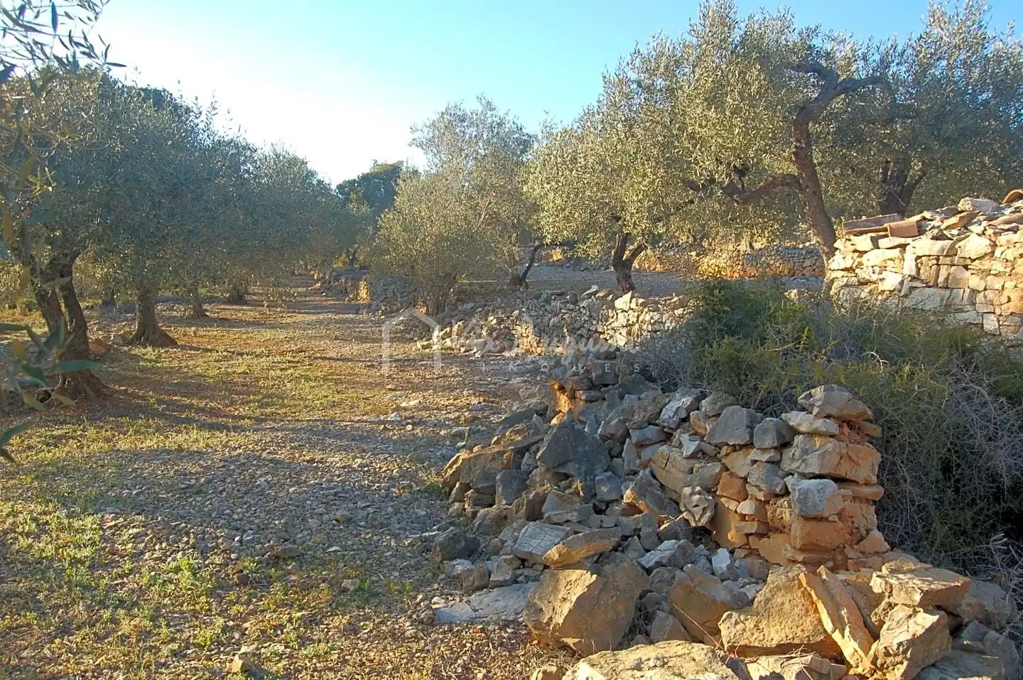 Terreno rustico in vendita a Burgà, imagen 17