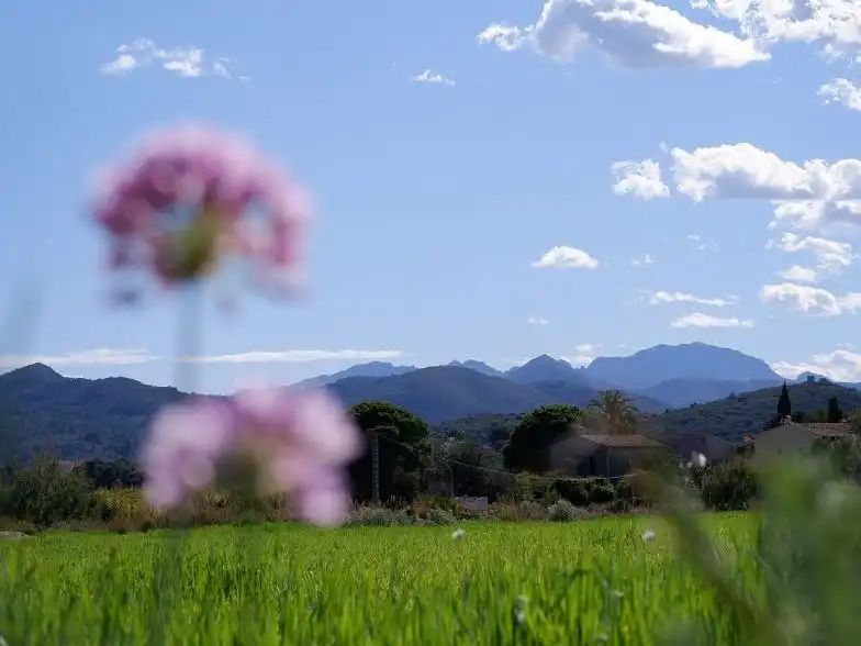 Vista exterior de Casa o xalet de lloguer en La Sella