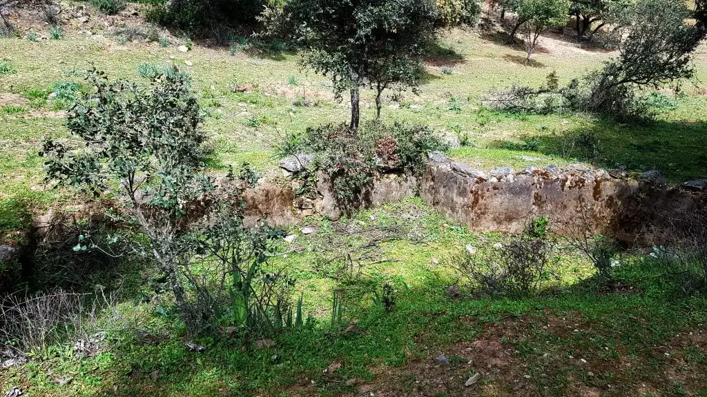 Terrenos y solares en venta en Extramuros Diseminados 5, imagen 53
