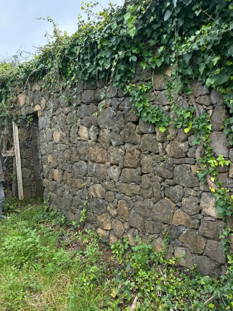 Terreny rústic en venda a El Sauzal, imagen 12
