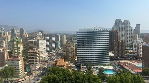 Magnífico apartamento en primera línea de mar en Benidorm  ideal para disfrutar y para invertirSe vende vivienda luminosa en la pl, imatge 4