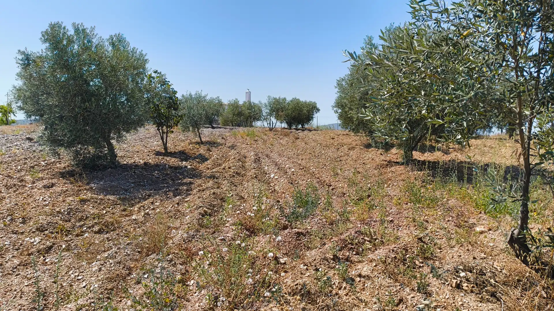 Finca rústica en venda en Turón amb Jardí privat
