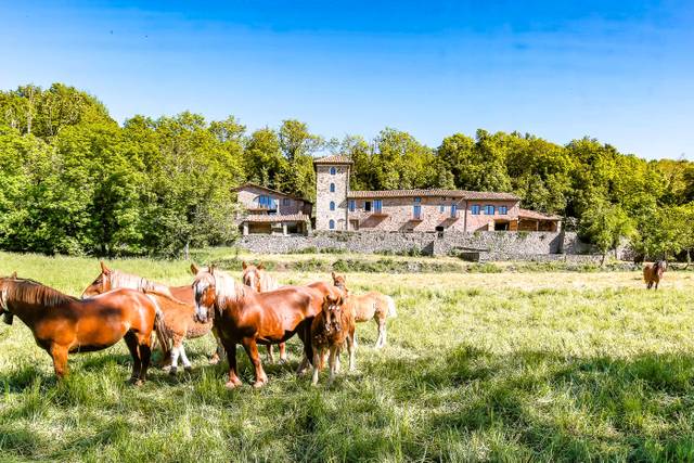 Finca rústica en Venta en Camprodon