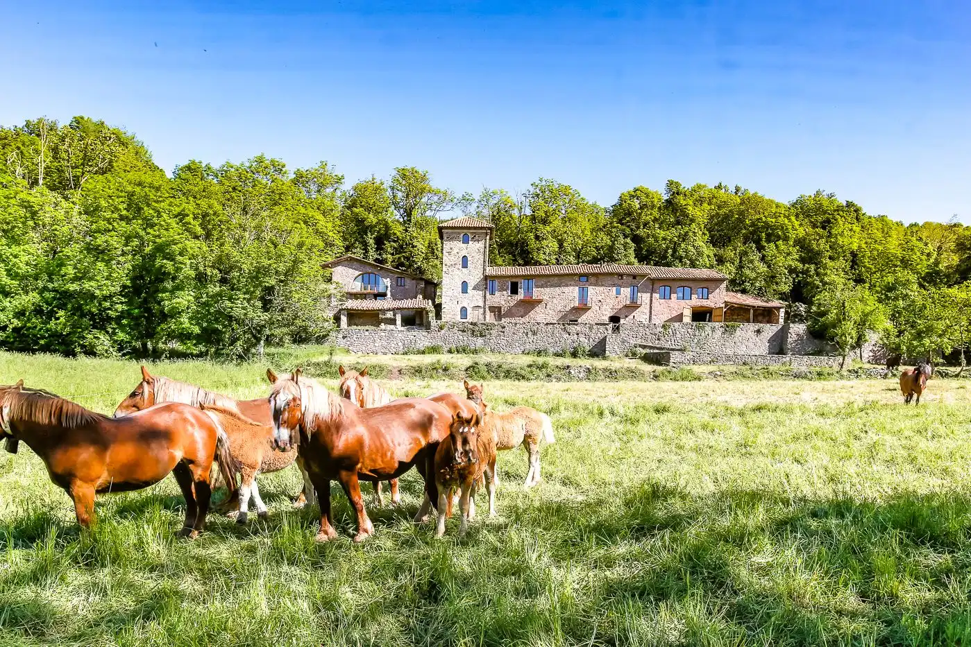 Landhaus mit Garten zum Verkauf in Camprodon, imagen 2