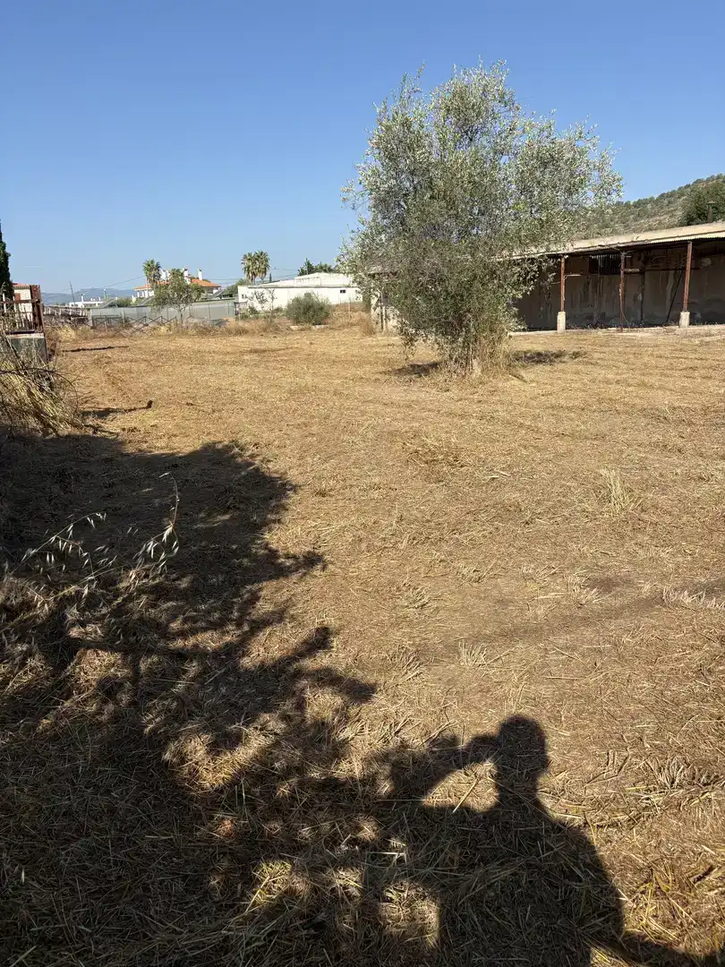 Finca rústica en venda en L'Alcora