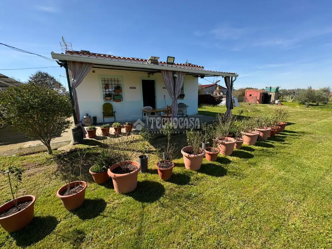 Garden of Country homes for sale in Badajoz  with Private garden and Terrace