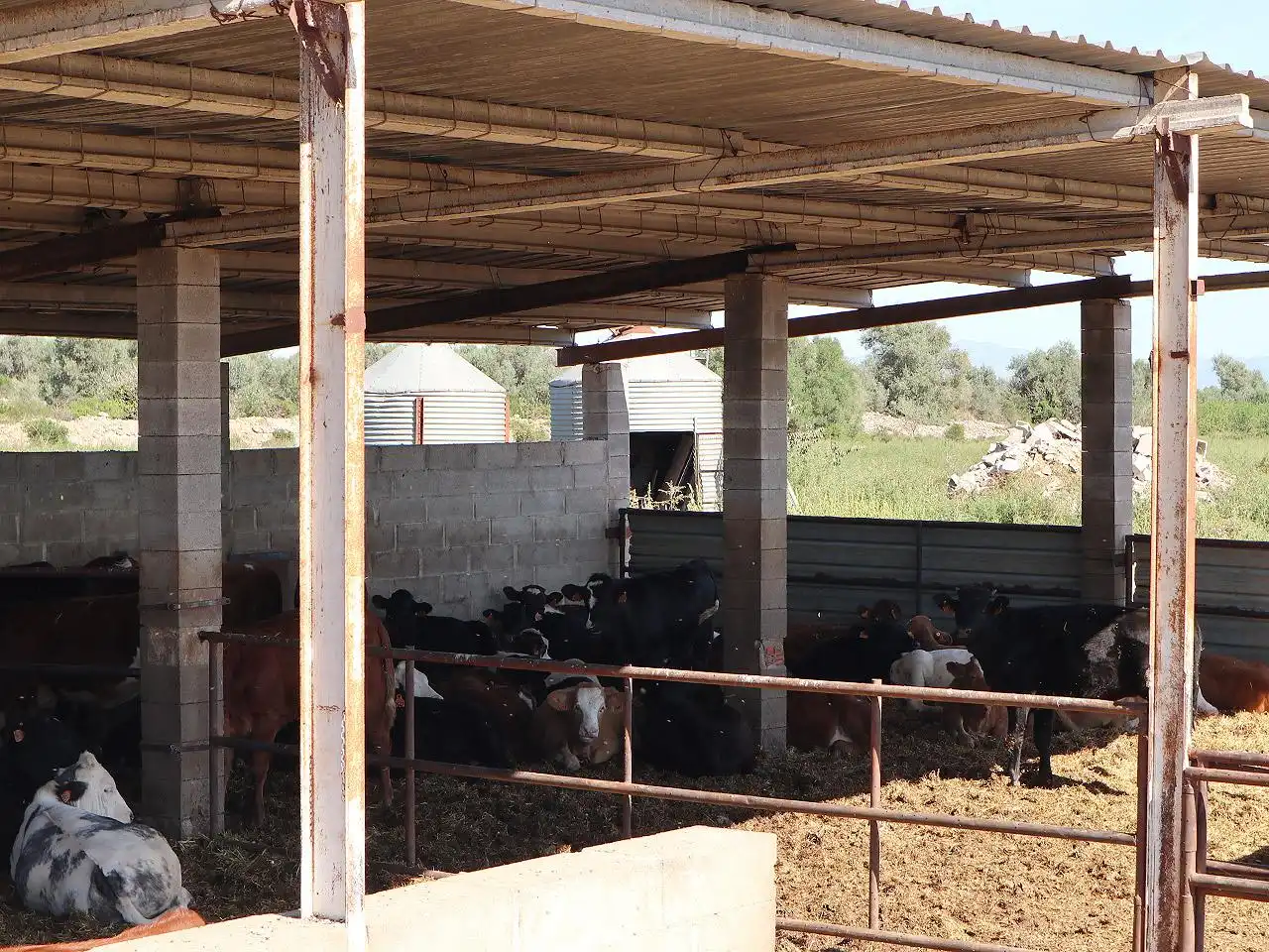 Industriegebäude zum Verkauf in Ulldecona, imagen 42