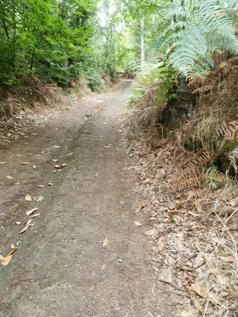 Außenansicht von Grundstücke zum Verkauf in Santa Úrsula