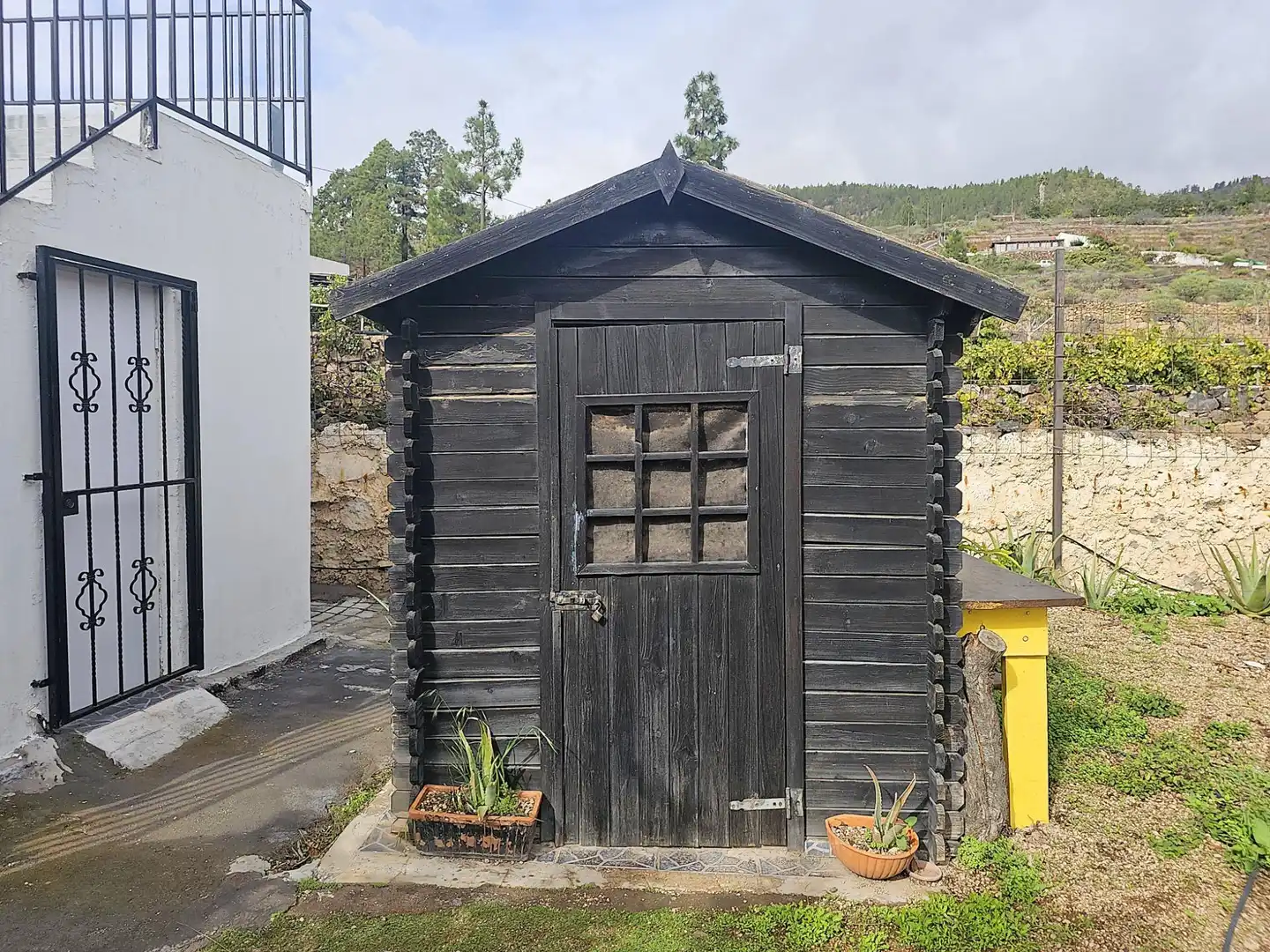 Vista exterior de Finca rústica en venda en Granadilla de Abona