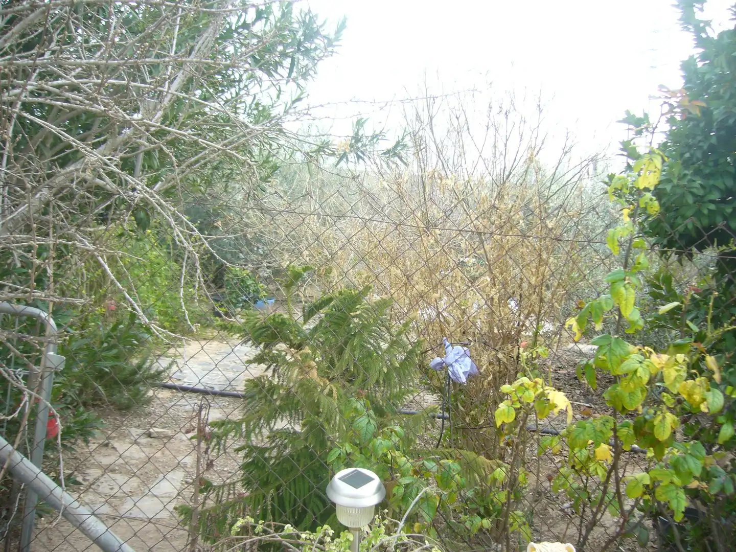 Villa avec piscine à vendre à Crevillent, imagen 20