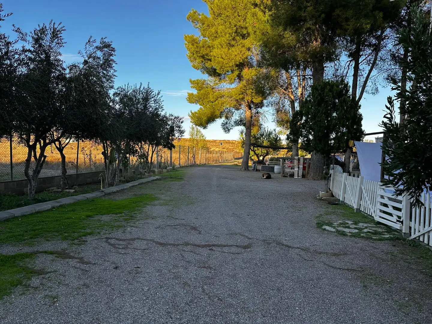 Finca rústica en venta en Montoliu de Lleida con Calefacción, Jardín privado y Internet