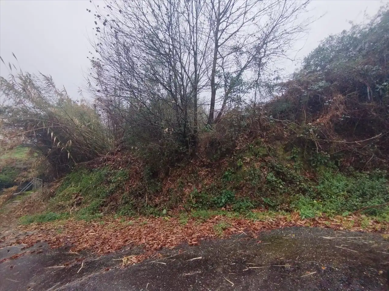 Terrain rustique à vendre à Tomiño, imagen 13