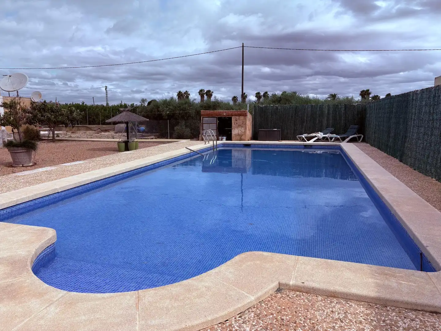 Swimming pool of Houses for sale in Elche / Elx  with Swimming Pool