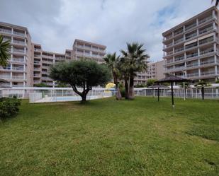 Swimming pool of Flat to rent in Canet d'En Berenguer  with Terrace