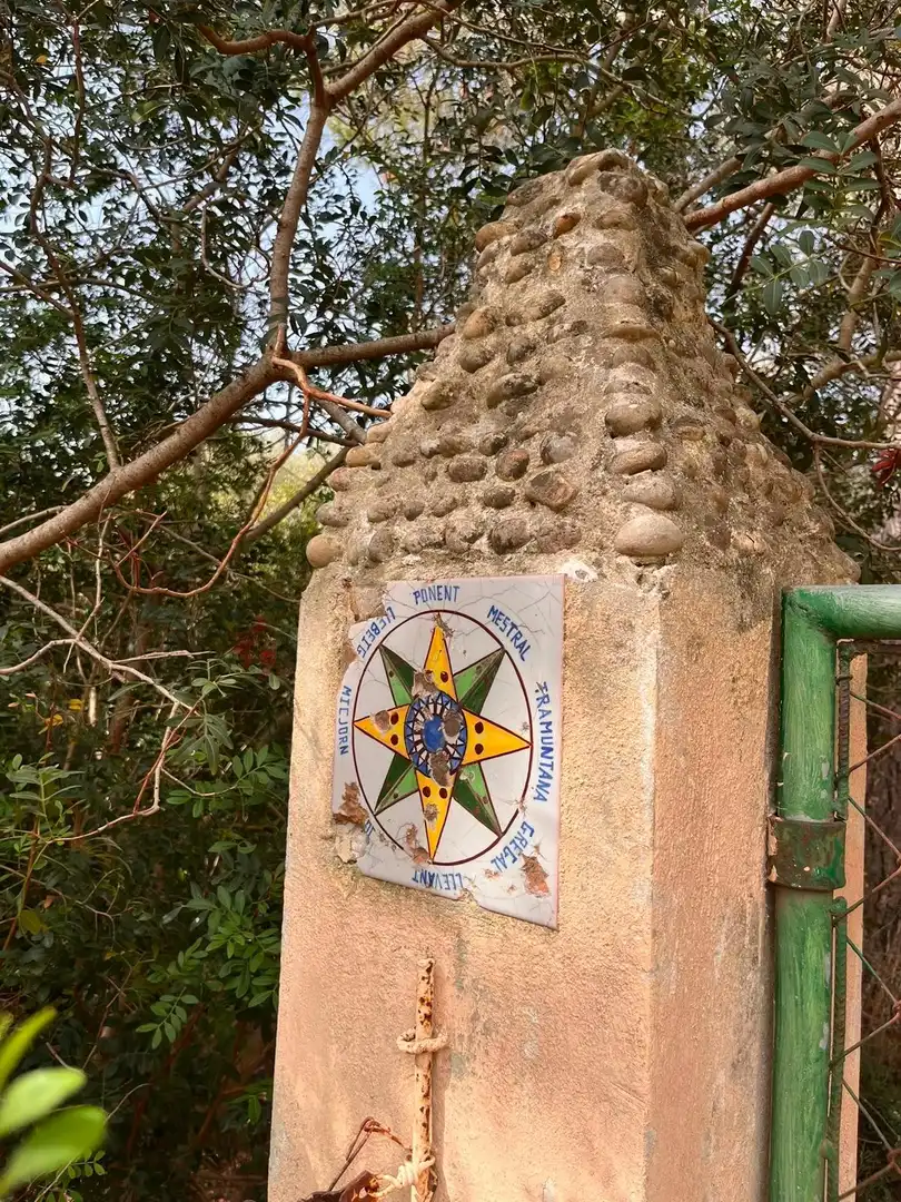 Vista exterior de Finca rústica en venda en Petra amb Jardí privat, Terrassa i Traster