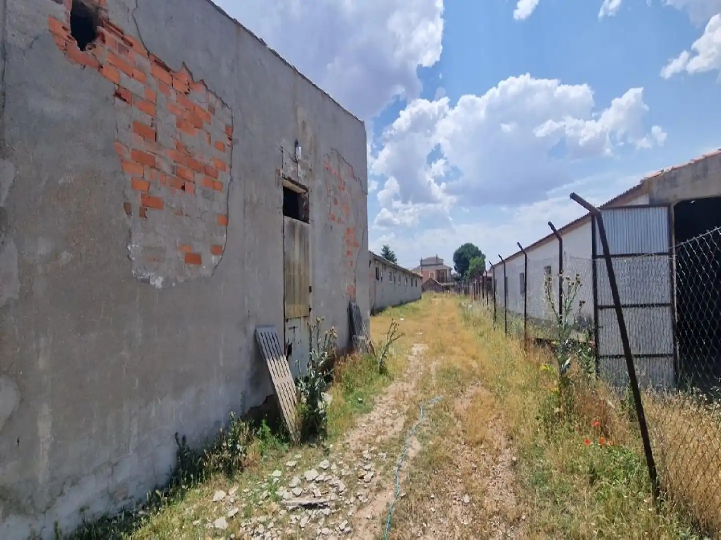 Nau industrial en venda en Escarabajosa de Cabezas