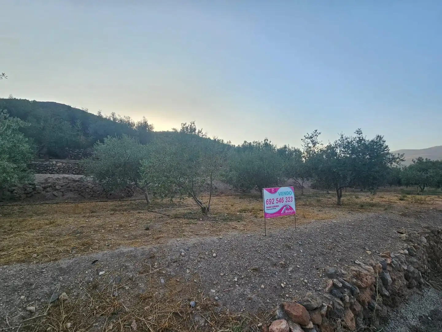 Finca rústica en venda en Fondón