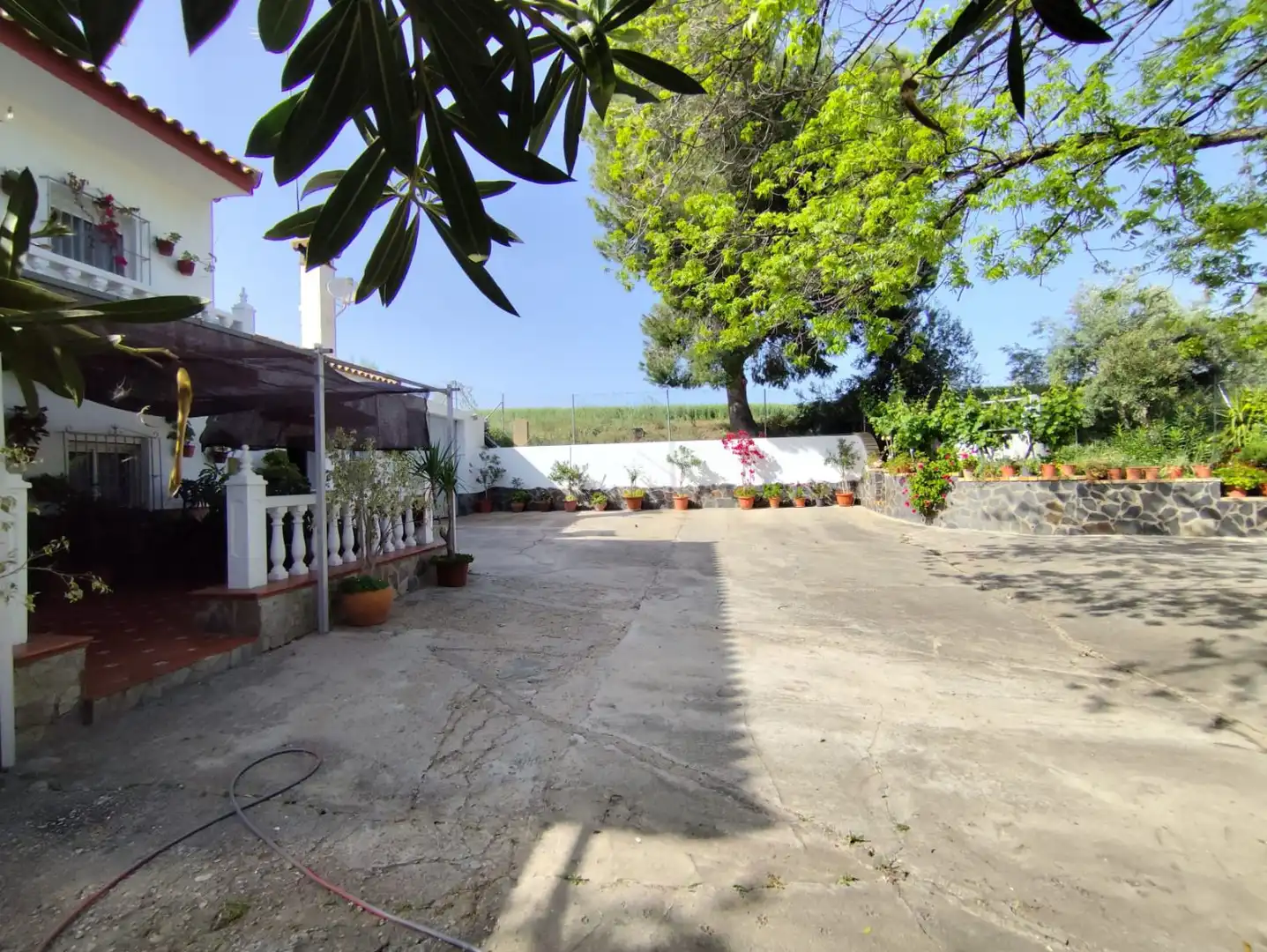 Casa rústica en venda a Arcos de la Frontera, imagen 23