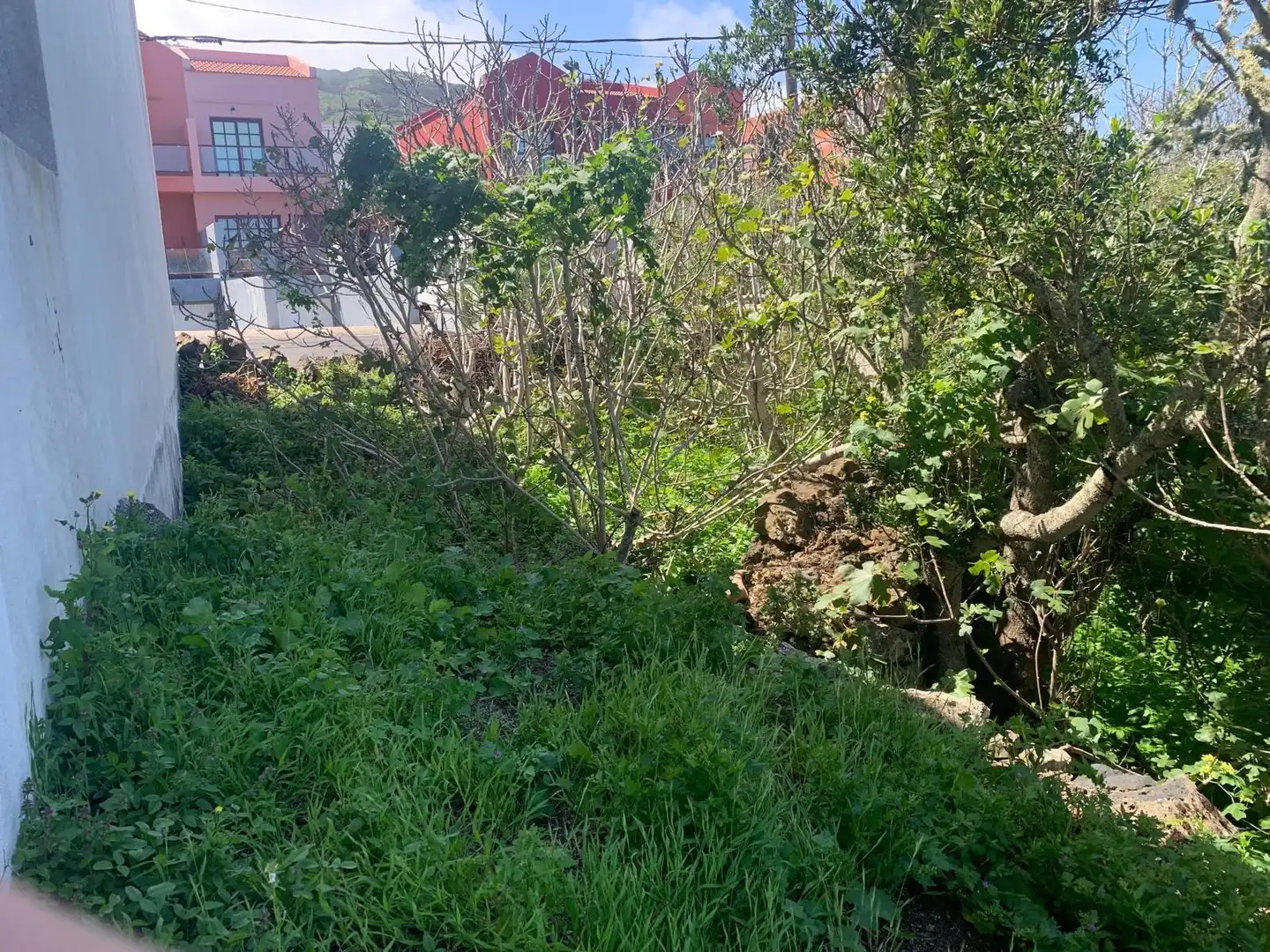 Terrain résidentiel à vendre à Calle Calle Hoya del Millo, imagen 5